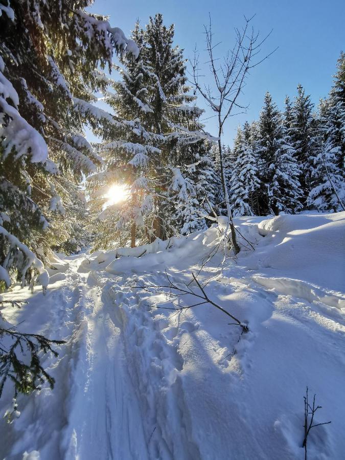 Pension Haus In Der Sonne Fieberbrunn Eksteriør bilde